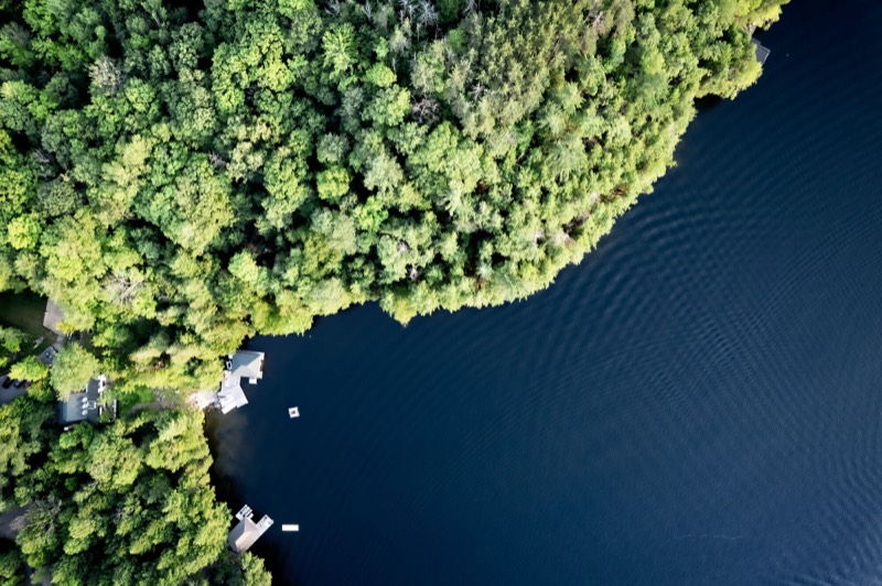 Muskoka Summers