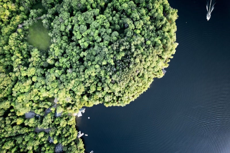 Muskoka Summers